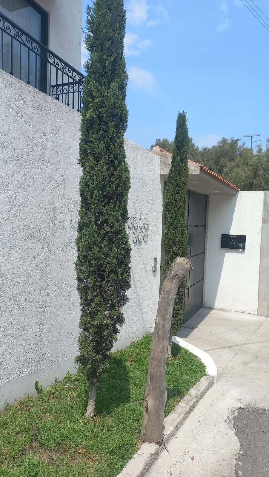 Renta de Departamentos Tlalpan