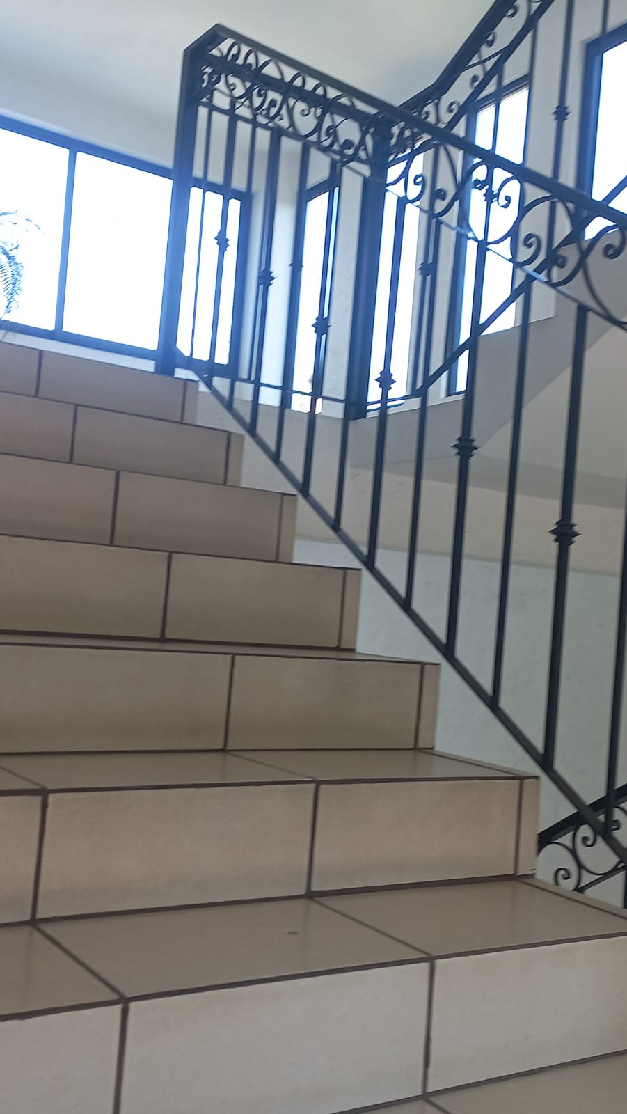 Renta de Departamentos Tlalpan
